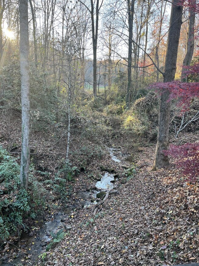 Building Photo - 69 Wilcox Road - Creekside Cottage close t...