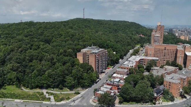 - The Cedar Plaza
