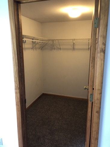 Building Photo - 144 Seeley St