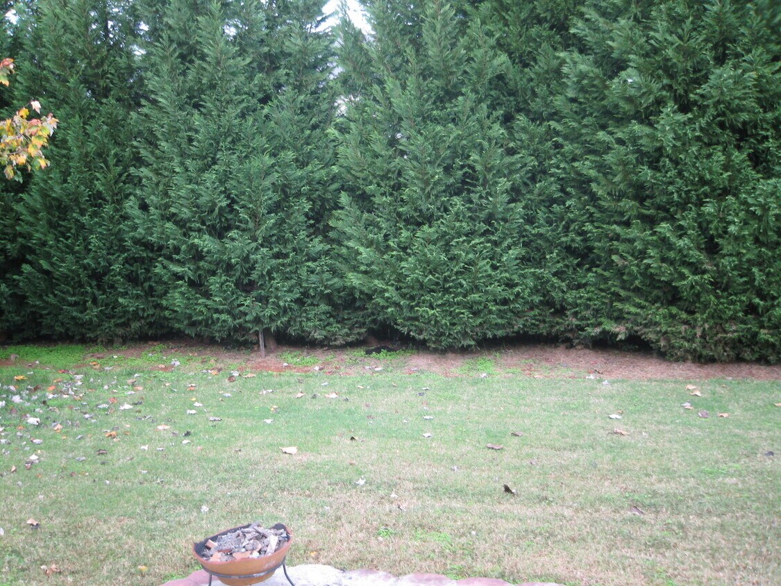 Foto del edificio - Lovely 3 bed 2 bath home in Charlotte
