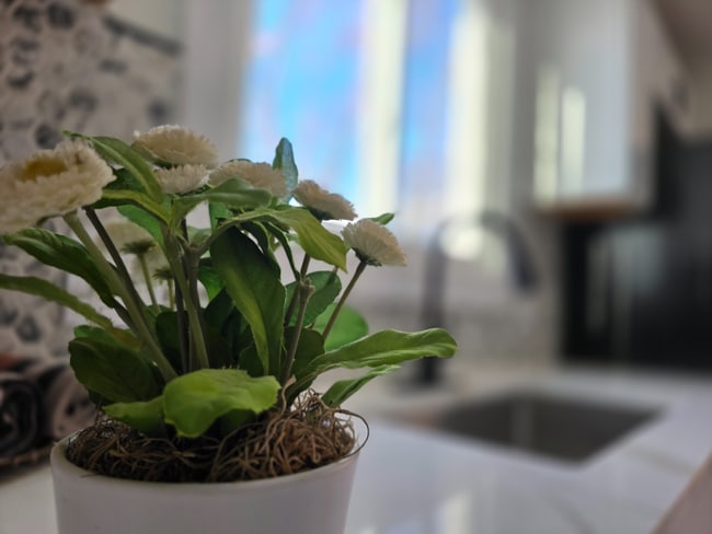 Building Photo - 20628 Alger St