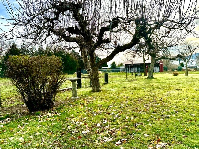 Building Photo - 3 Bedroom 1 Bath house on 1 acre with sept...