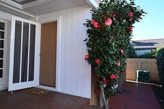 Building Photo - 1730 Ebers St