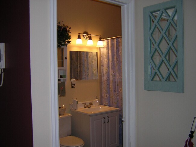 Bathroom - 1115 Willow Ave