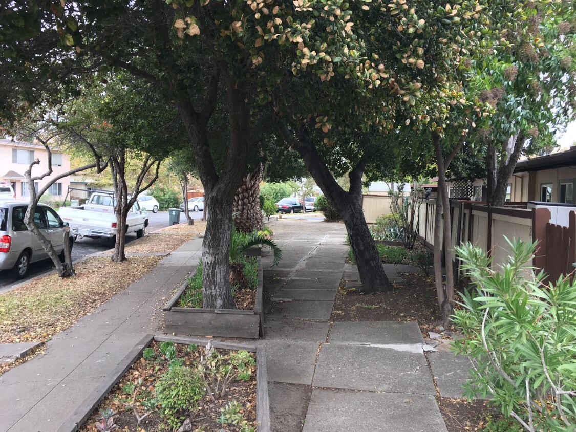 Primary Photo - 1101 Woodside Rd