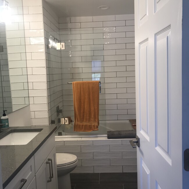 Master Bathroom with Jacuzzi Tub - 1325 Park Ave SW