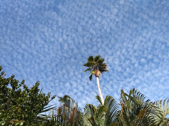 Foto del edificio - 137 NW Shannon Ave