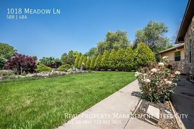 Building Photo - 1018 Meadow Ln
