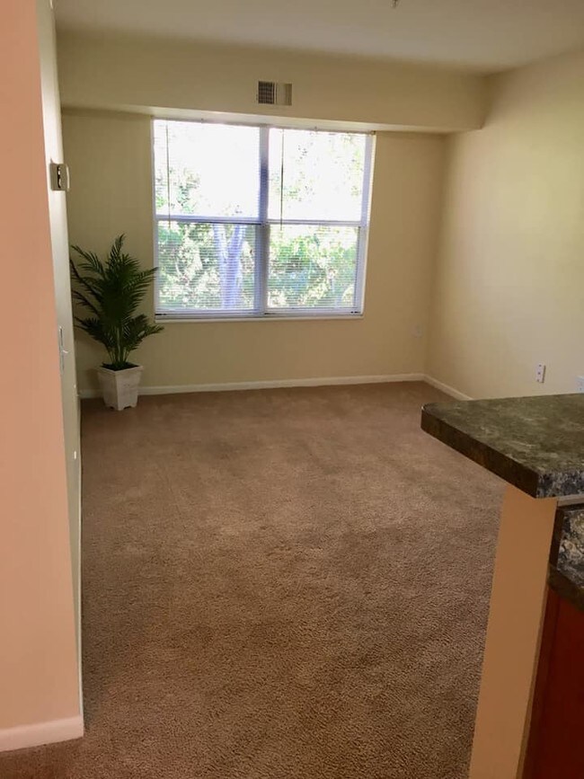 Silver Hill at Great Neck for 55+ Apartments Virginia Beach, VA