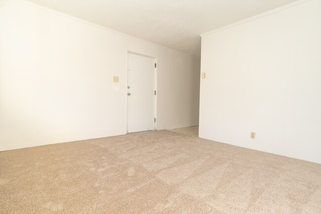 Foto del edificio - 1 Bed 1 Bath Condo in Carrboro!