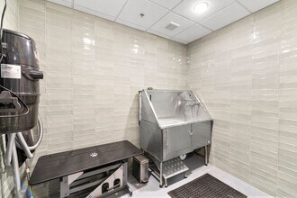 Interior Photo - Uptown & Main