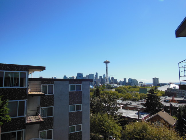 Vista a Space Needle - Vali Hai