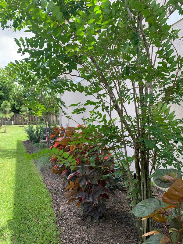 1622 Montauk Dr, Wellington, FL 33414 Condo for Rent in Wellington, FL