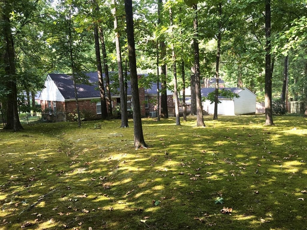 Foto del edificio - 5482 N Rolling Oaks Dr