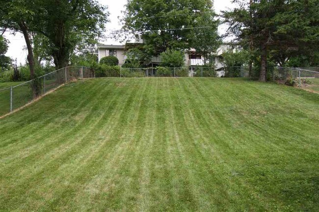 Backyard - 3627 29th St