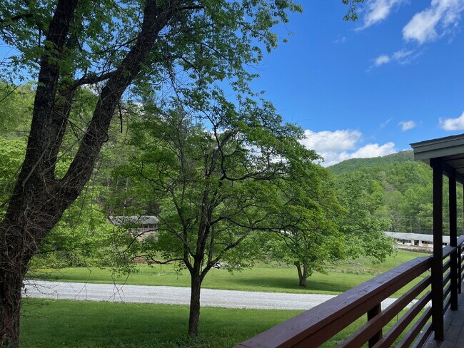 Building Photo - "Charming Cottage Retreat in Gerton, NC!"