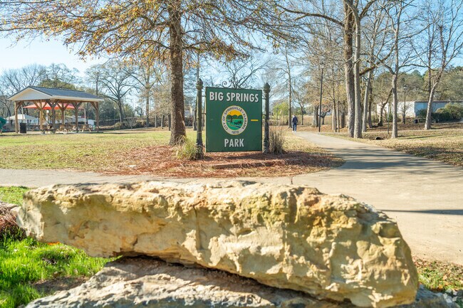 Take time to enjoy nature at Big Springs Park in Springville.