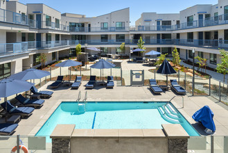 Lumina Apartment Homes photo'