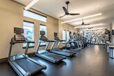 This fitness center is thoughtfully designed to accommodate a full range of workout needs across several distinct zones. The main strength training area is generously proportioned, featuring multi-station cable machines, a rack of dumbbells spanning a wide weight range, adjustable benches, and a Smith machine. Full-length mirrors line the walls, enhancing the sense of space and allowing users to monitor their form. A dedicated free weights section includes medicine balls and stability equipment stored along mirrored walls. The cardio zone houses a row of treadmills and elliptical machines positioned alongside windows that offer natural light and outdoor views, with ceiling fans overhead for air circulation. A separate studio-style room features rowing machines and stationary cycling bikes set against a bold, graphic city-map mural, with mirrored walls amplifying the space. The facility connects via glass partitions to an adjacent lounge area, maintaining visual openness. Throughout, dark rubber flooring provides durability and safety, while pendant and linear LED lighting ensures consistent illumination. An arched doorway with glass doors at the far end leads to an outdoor area, further enhancing the bright, airy ambiance of the space.