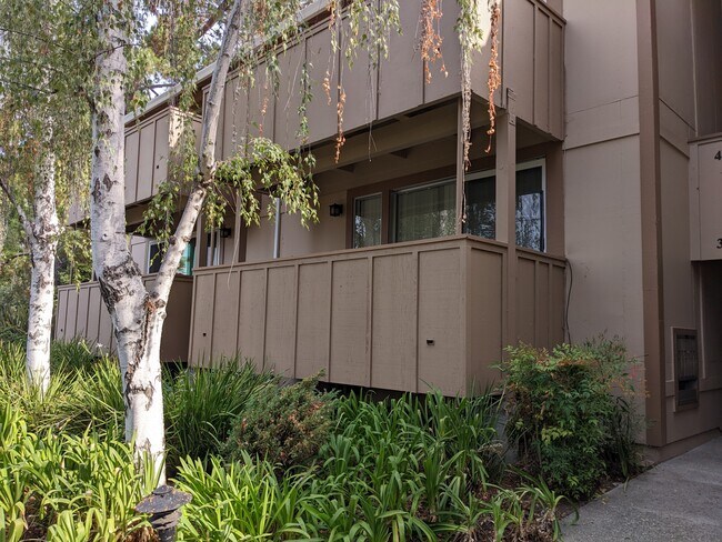 Building Photo - 2454 W Bayshore Rd