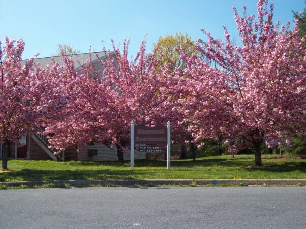 Foto principal - 1130 Robin Hood Ct