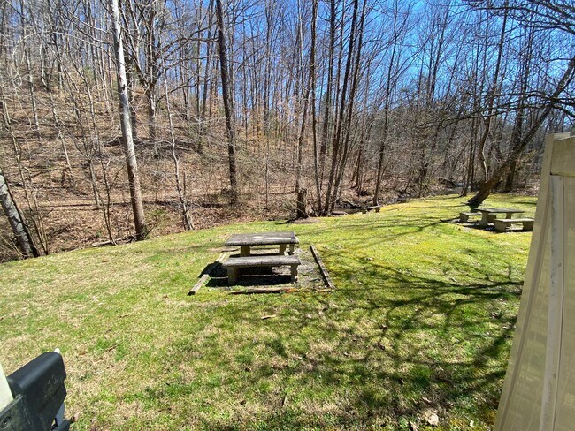 Backyard - 215 Gum Hollow Rd