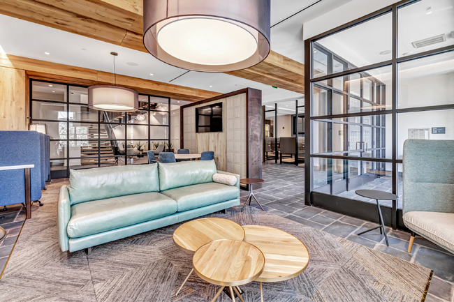 Interior Photo - Olive & Wooster