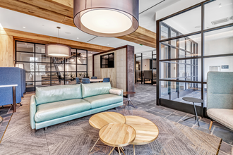 Interior Photo - Olive & Wooster