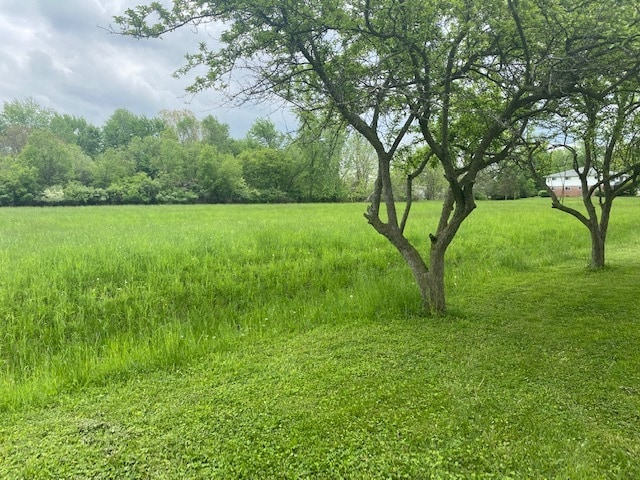 Building Photo - Croswell Country Manor - 62+ Senior Community