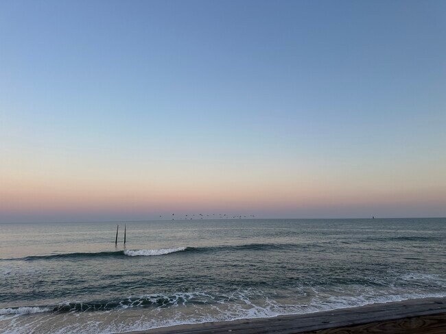 Foto del edificio - Pelican Watch