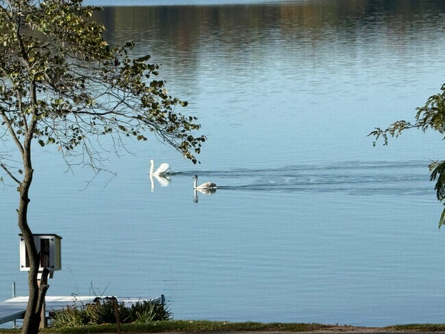 Foto del edificio - GLH
