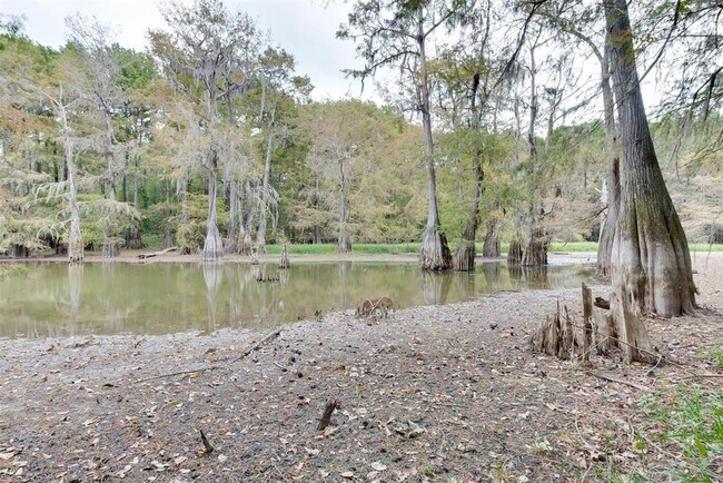 Building Photo - 4484 Cypress Lakes Cir