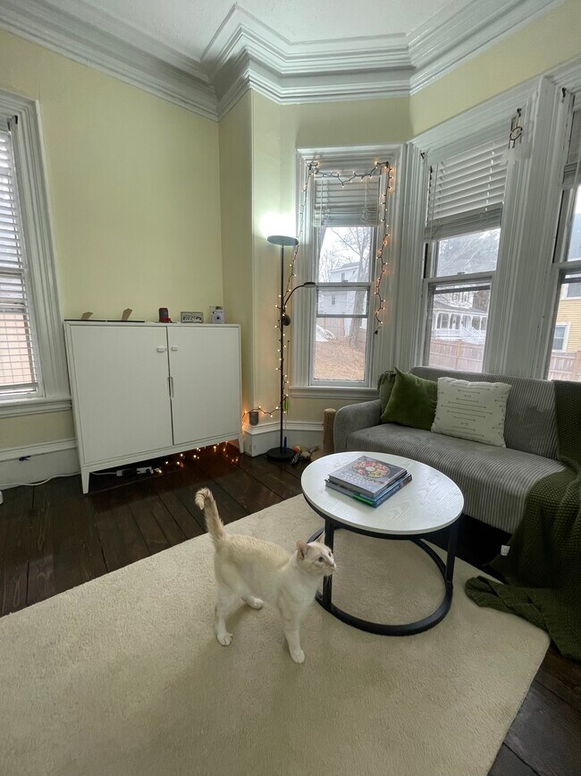 Foto del edificio - 219 Washington St