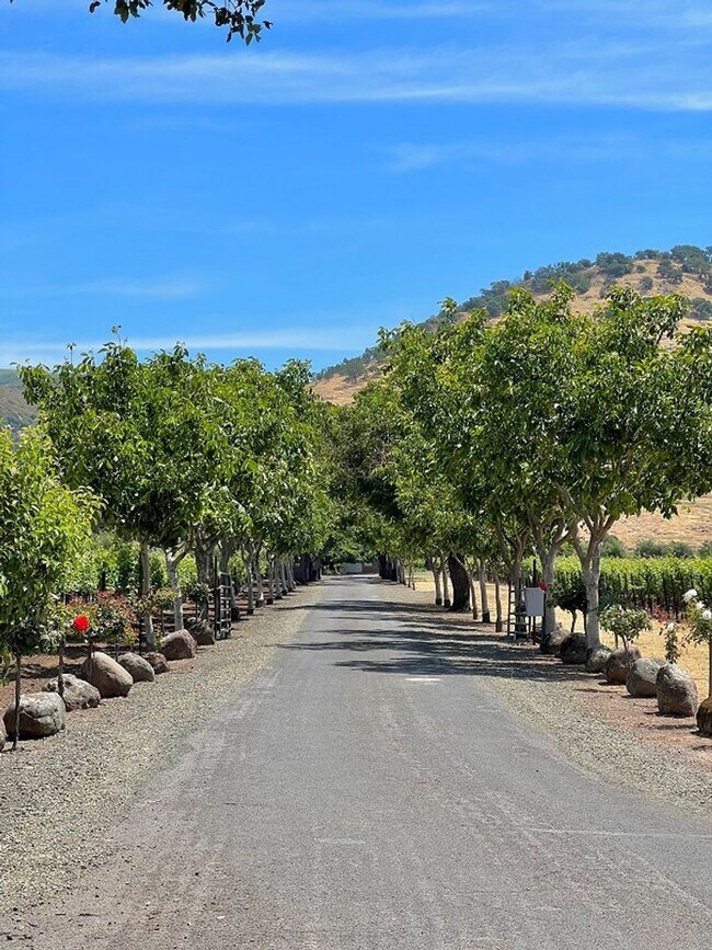 Foto del edificio - Beautiful Gated Yountville Home Surrounded...