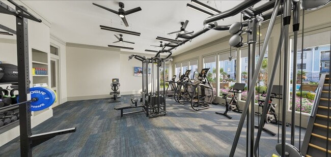 Monteverde general photo - Monteverde