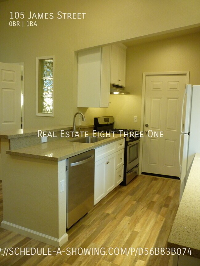 Foto del edificio - Beautifully Spacious Seabright Studio