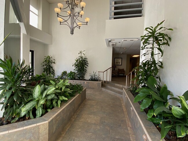 Garden entry to Lobby - 110 Park Rd