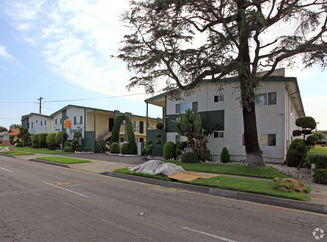 Spruce Tree - Spruce Tree Apartments