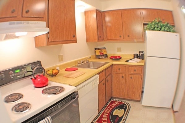 Condor Garden Apartments – photo 2