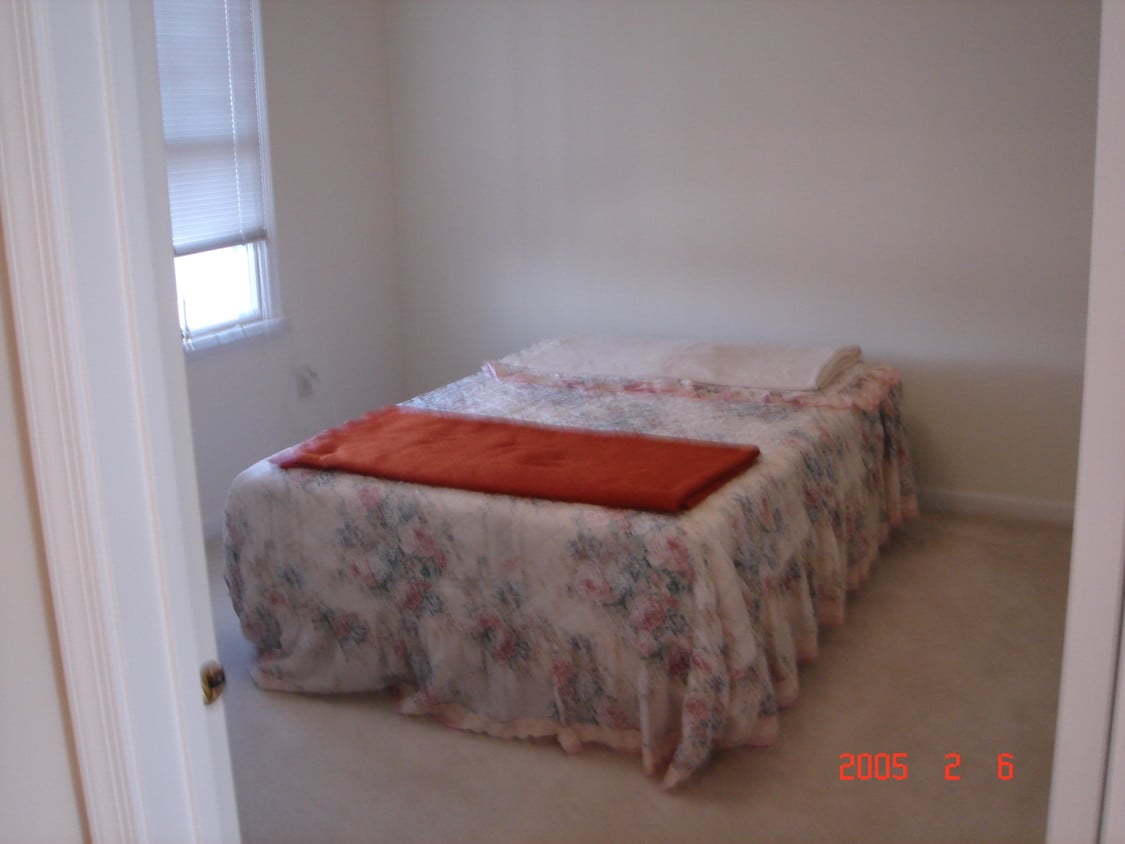BEDROOM, CLOSET & WOODED VIEW - 743 Mill Rd