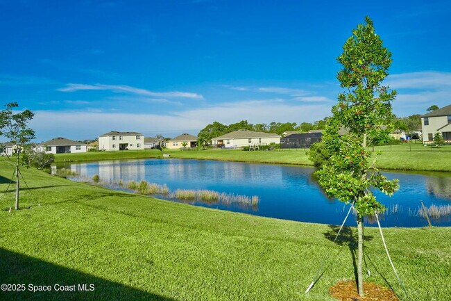 Foto del edificio - 5940 Manzanita Way