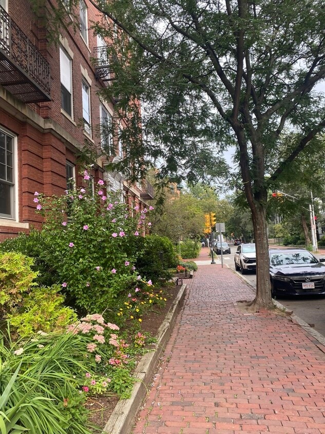Primary Photo - 315 Harvard St