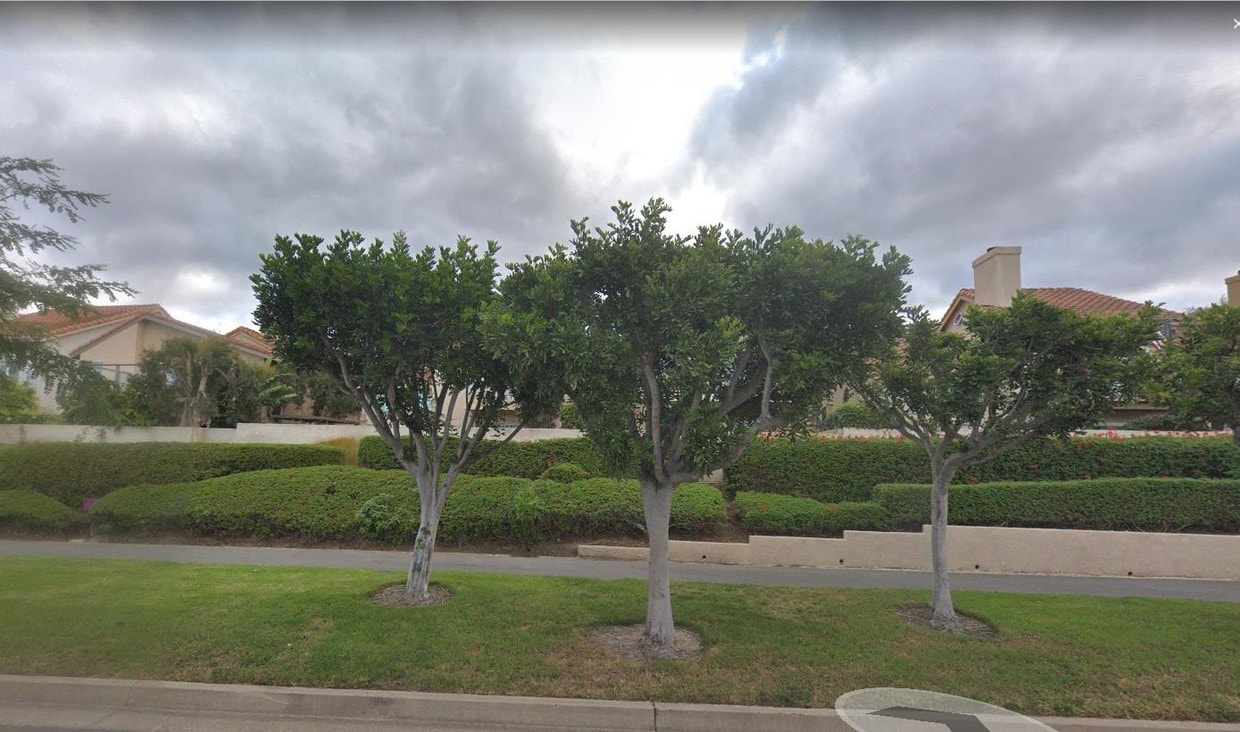 31 Palm Beach Ct, Dana Point, CA 92629 House Rental in Dana Point, CA