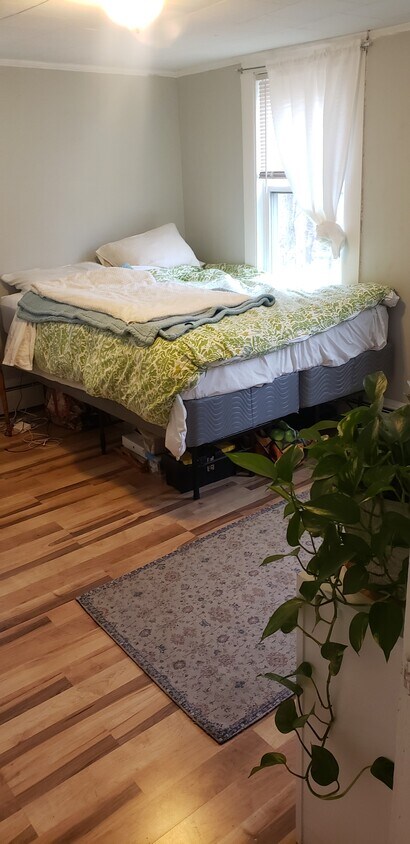 Primary Photo - 17 Hanson St