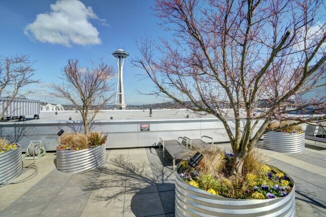 Roof Top - 2911 2nd Ave