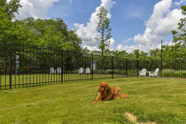 Foto del edificio - The Mill at Westside