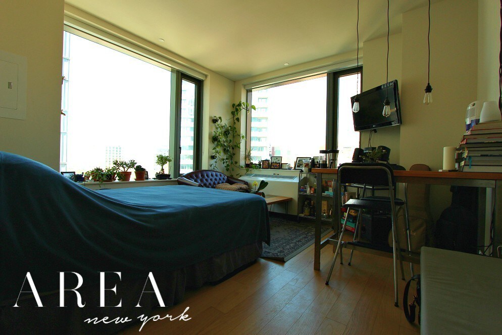 10 City Point Unit 25E, Brooklyn, NY 11201 Room for Rent in Brooklyn
