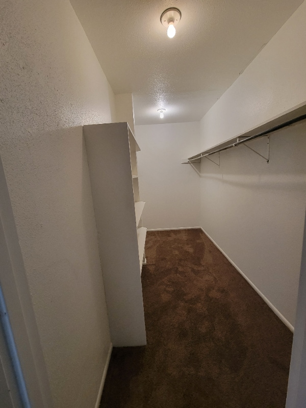 Photo - 207 Sprucewood Ln (San Antonio, TX) Apartment