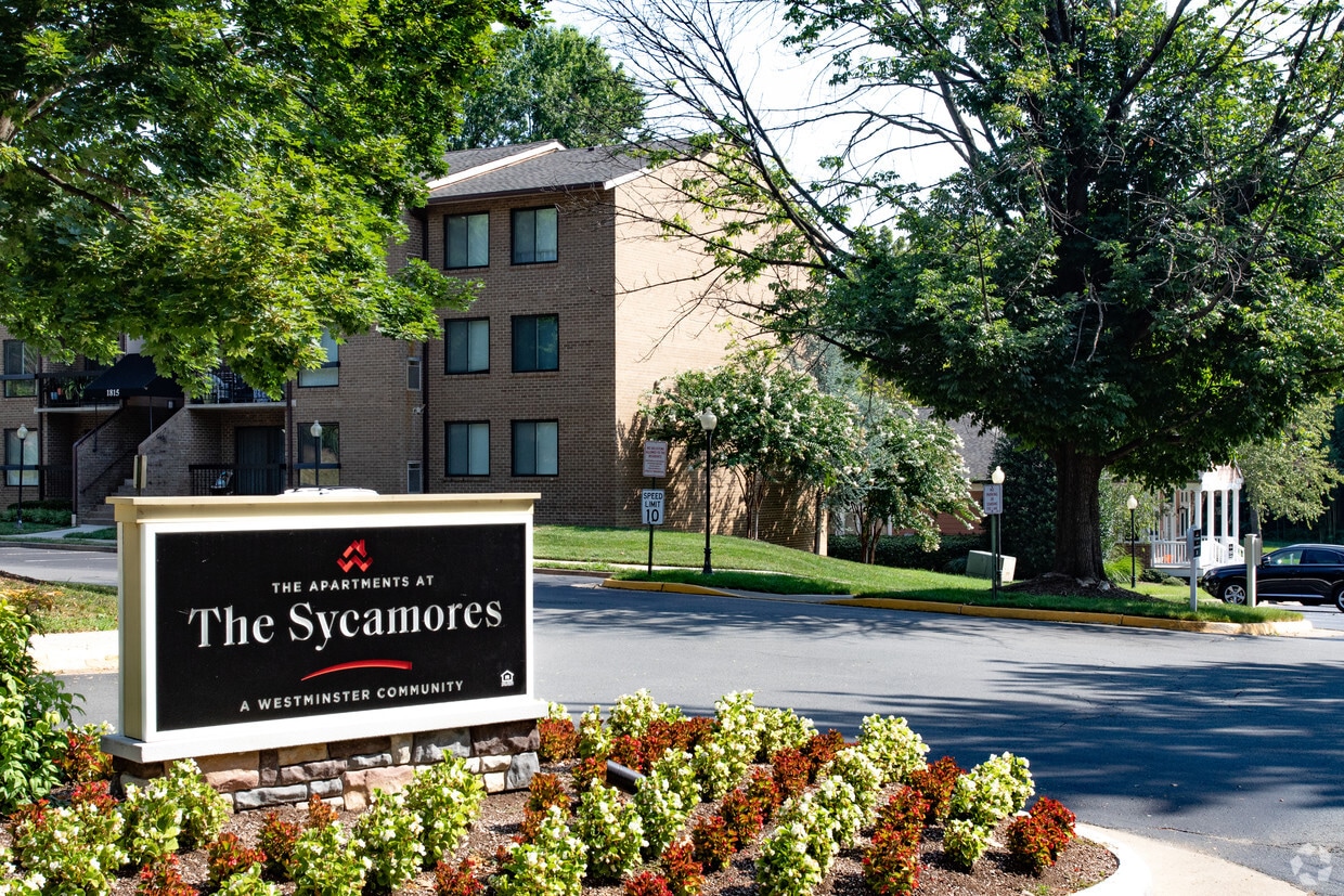 Primary Photo - The Apartments at The Sycamores