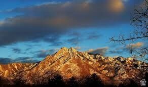 Building Photo - 1225 Wolf Hollow Ln